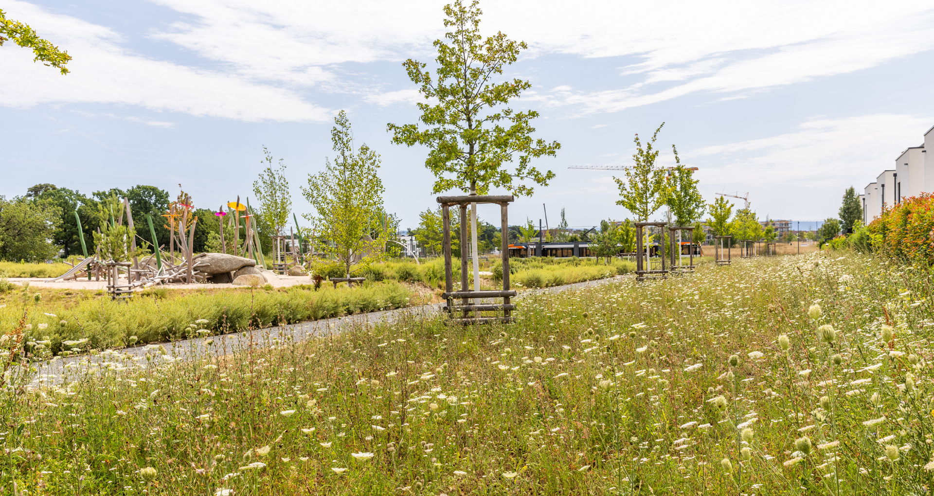 KI-basierte Bildbeschreibung: Ein grasbewachsenes Feld mit Wildblumen und jungen Bäumen säumt einen Weg neben modernen Gebäuden; ein hölzernes Spielplatzgebäude ist im Hintergrund unter einem teilweise bewölkten Himmel zu sehen.